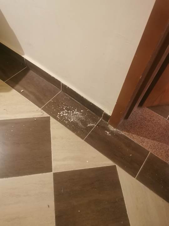 Zimmer Pickalbatros Alf Leila Wa Leila Resort - Neverland Hurghada