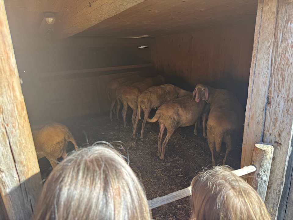 Gartenanlage Kinderhotel Kröller