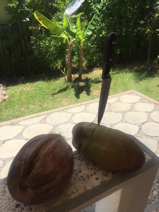 Sonstiges Guesthouse Cabanes des Anges