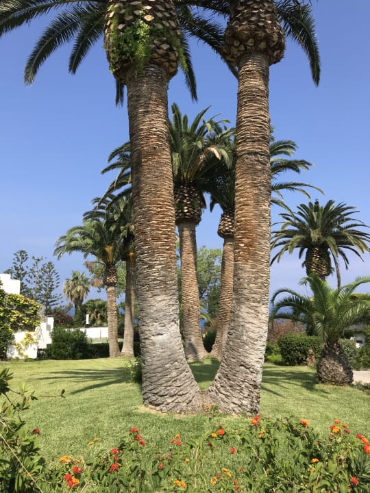 Gartenanlage Aldiana Club Rocca Nettuno Calabria