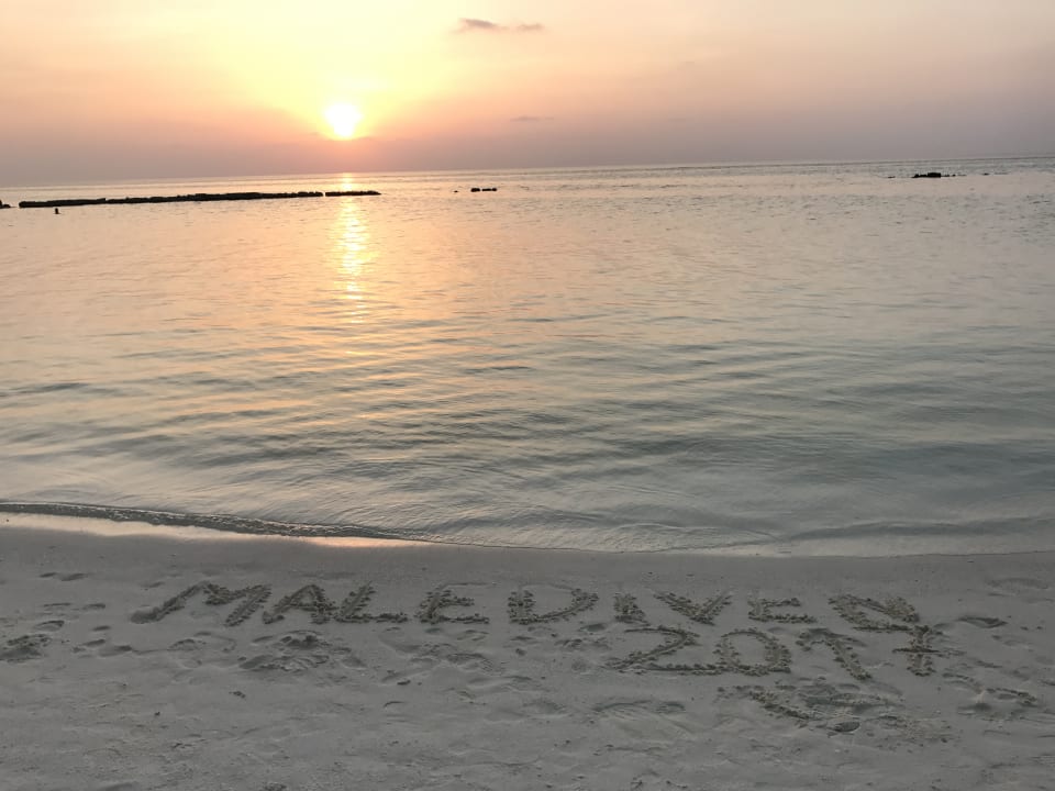 Strand Summer Island Maldives