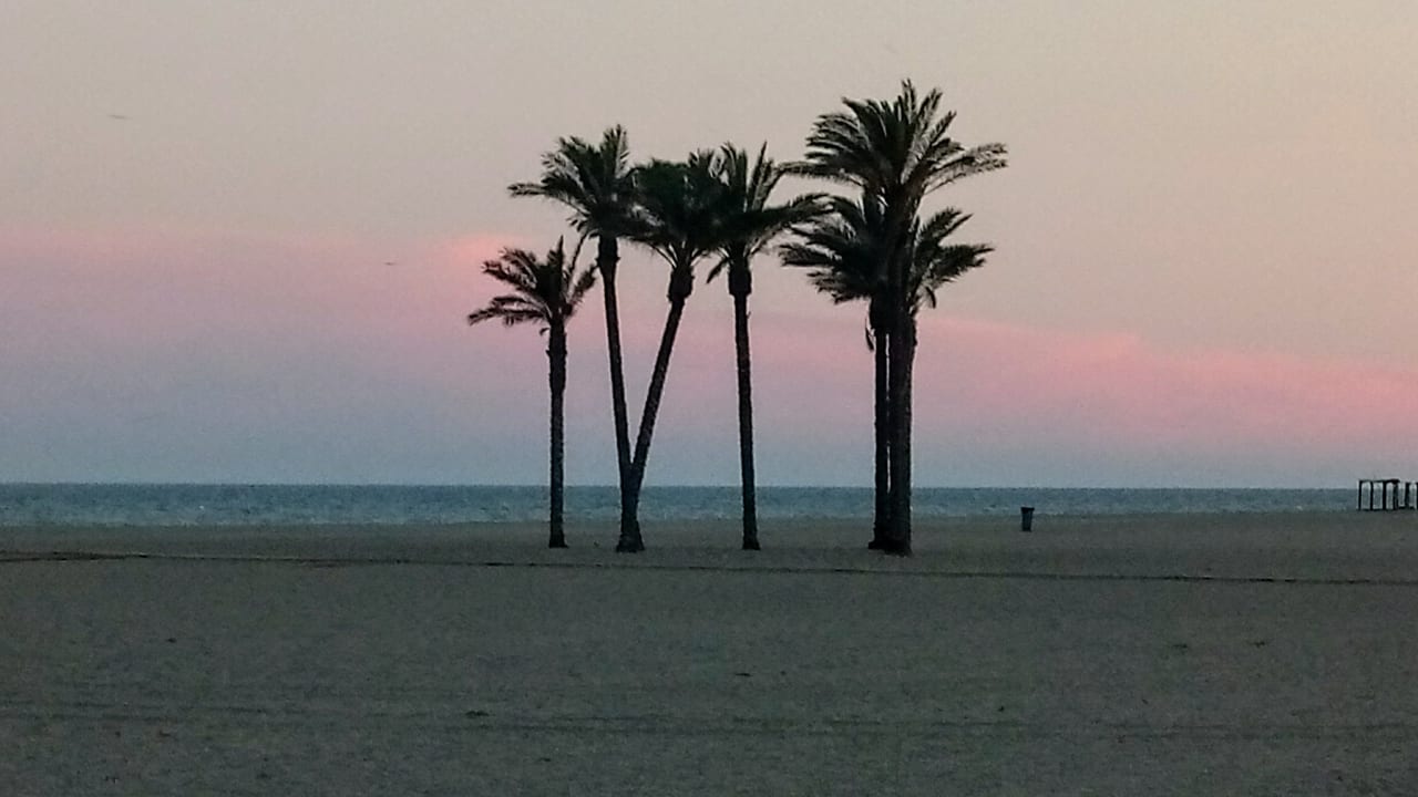 Ein sehr schöner länger und breiter Strand Hotel Best Roquetas