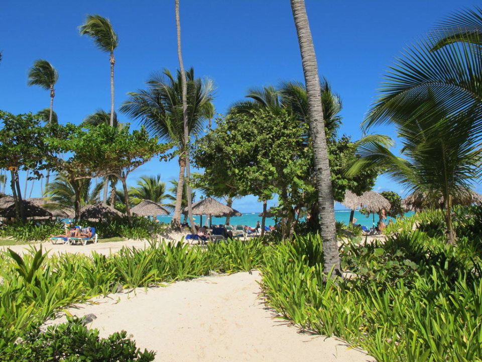 Weg zum Strand Grand Palladium Select Bávaro Resort & Spa