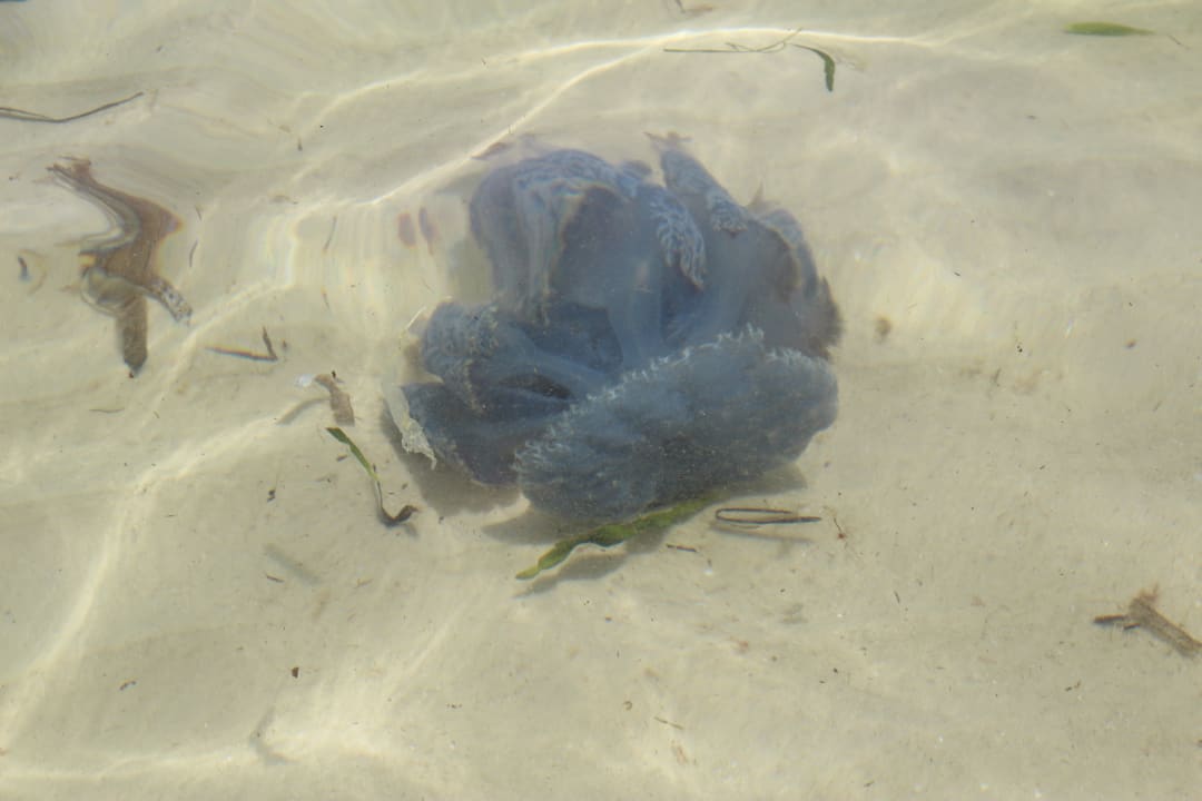 Strand Sahara Beach Aquapark & Resort