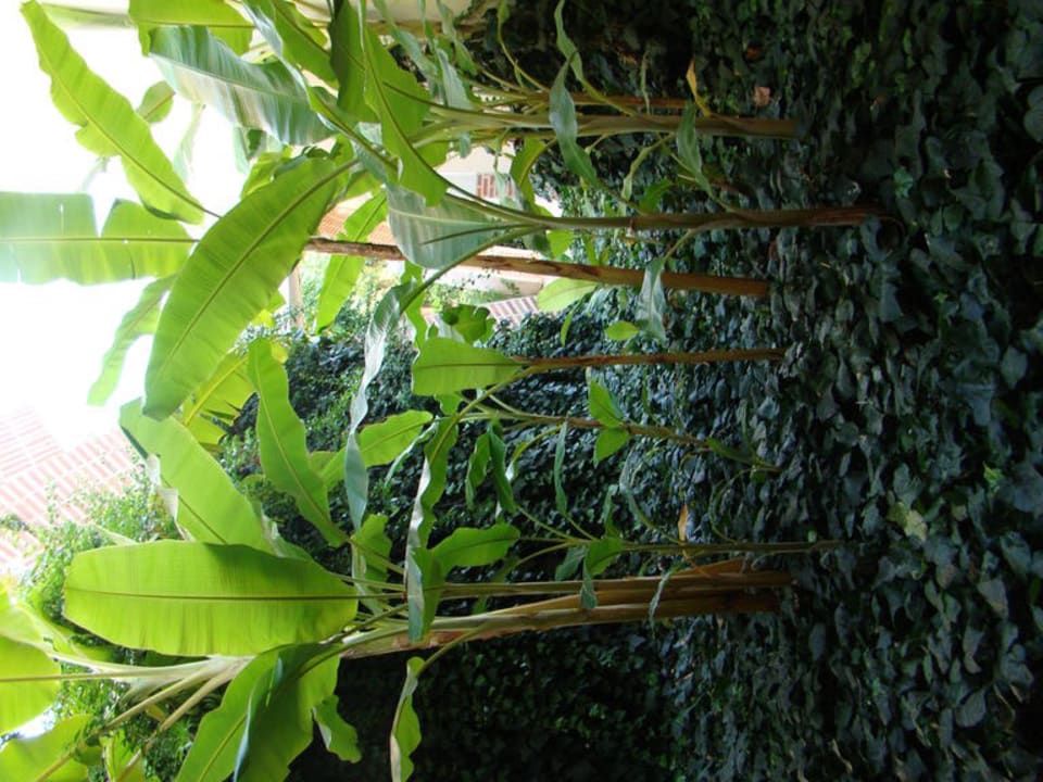 Сад Limak Limra Hotel & Resort