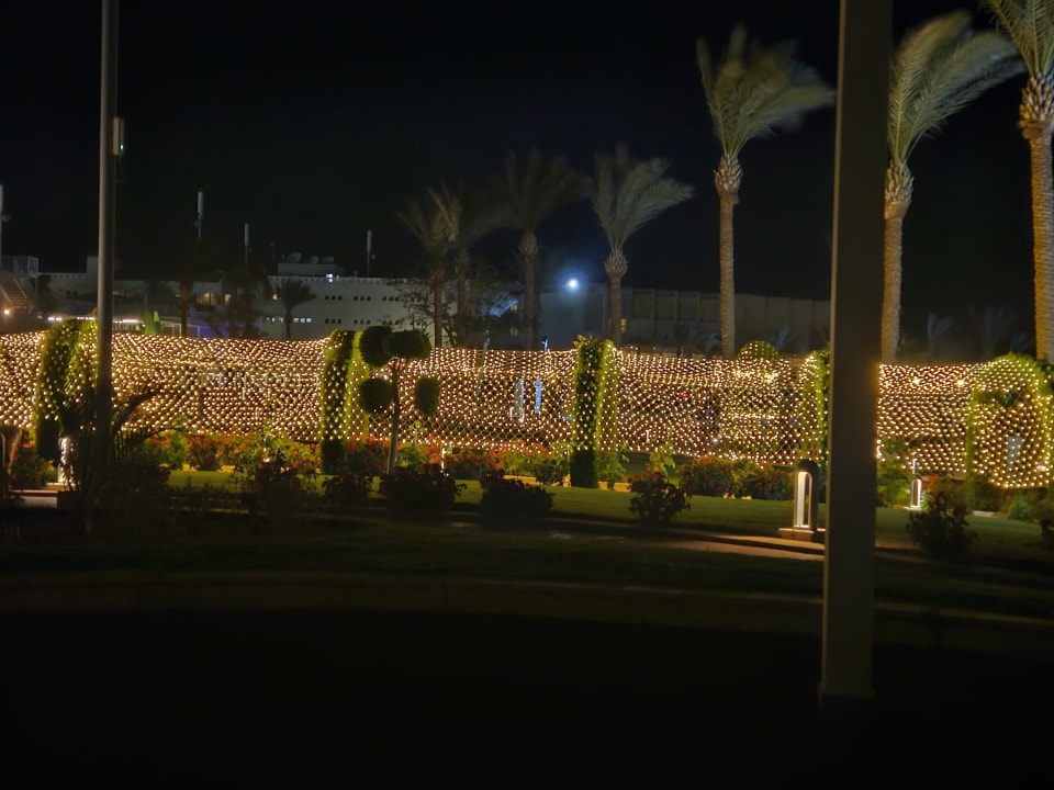 Gartenanlage Pickalbatros Palace Resort