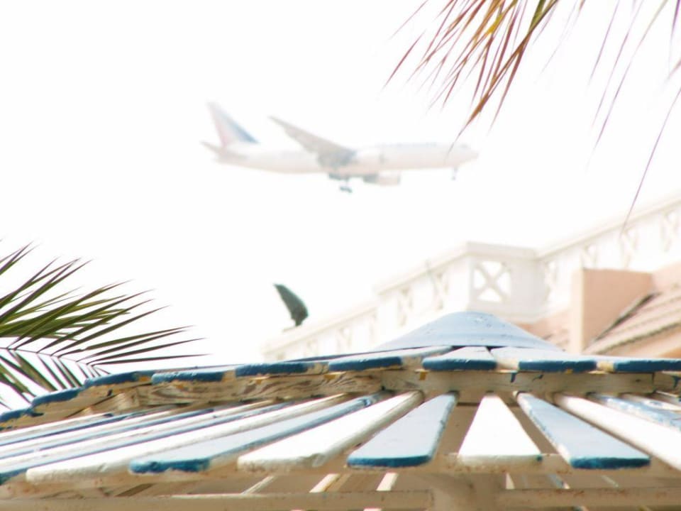 Die tägliche Unruhequelle Beach Albatros Resort