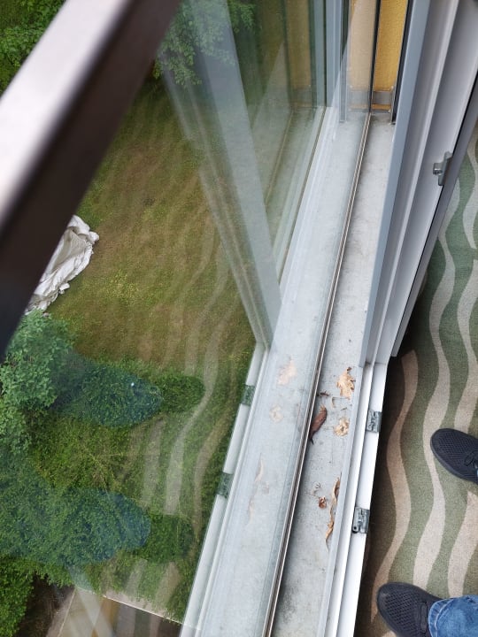 Zimmer ARCOTEL Castellani Salzburg