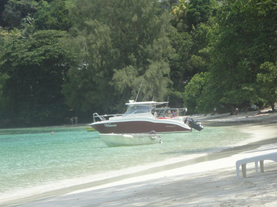 Unser Tauchboot direkt an unserem Strand Constance Ephelia