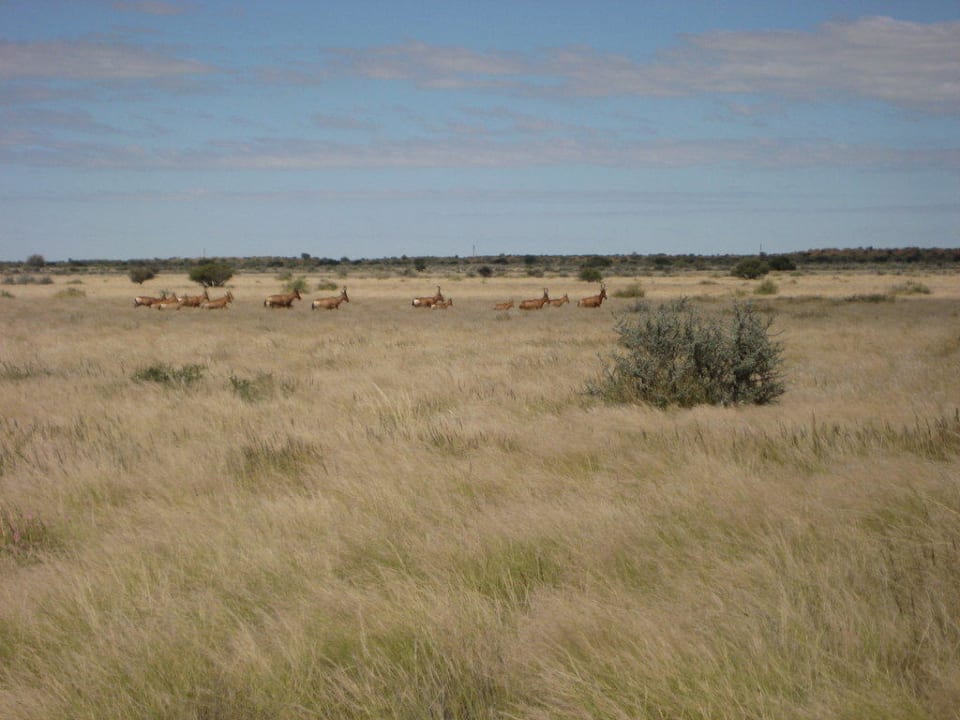 Wanderung auf dem Lodgegelände Kalahari Anib Lodge