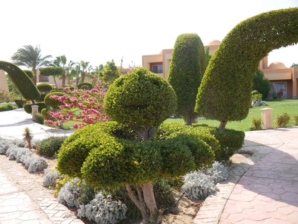 Gartenanlage Wadi Lahmy Azur Resort