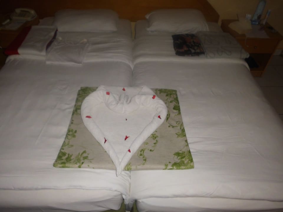 Zimmer Ghazala Gardens