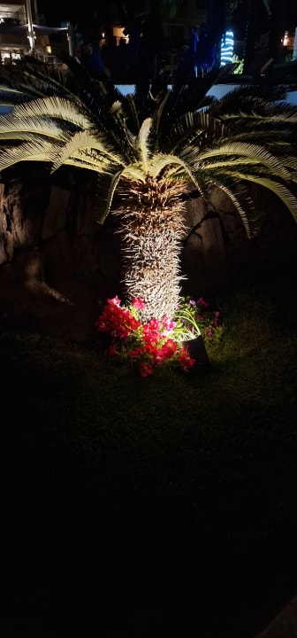 Gartenanlage Shams Prestige Abu Soma-Adults Only