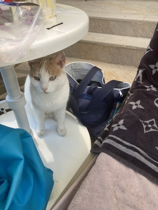 Sonstiges Seaden Quality Resort & Spa