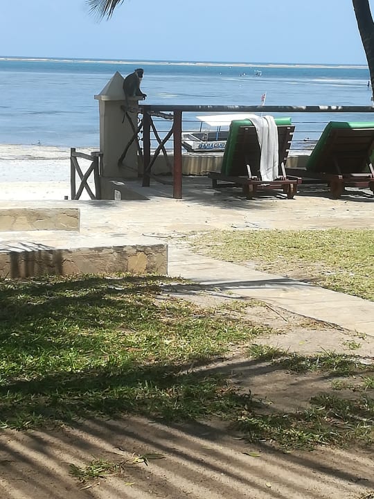 Strand Neptune Beach Resort