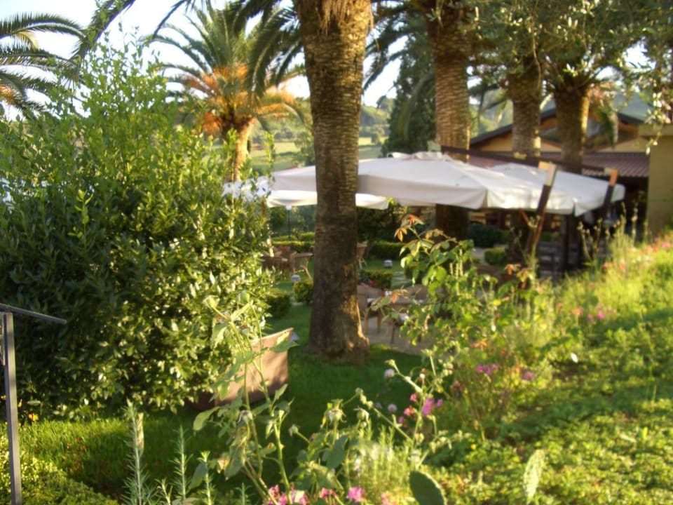 Rund um die Terrasse Agriturismo Il Borgo Sul Lago