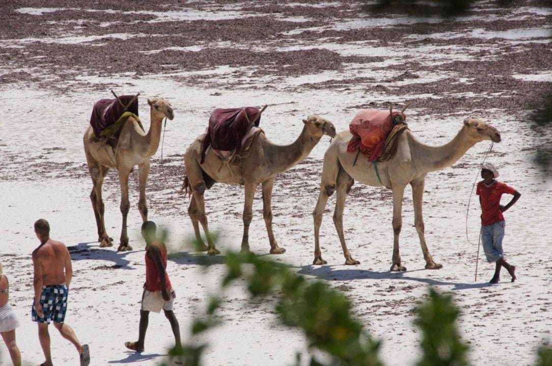 Photomotive Baobab Beach Resort & Spa