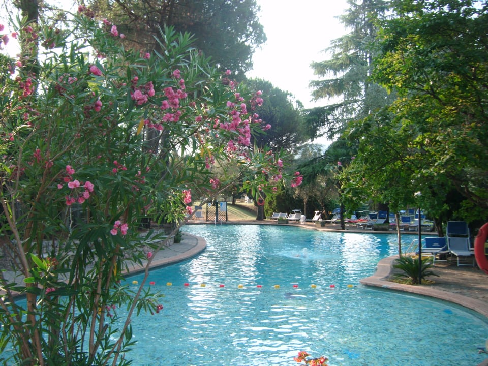 Pool Hotel Marco Polo