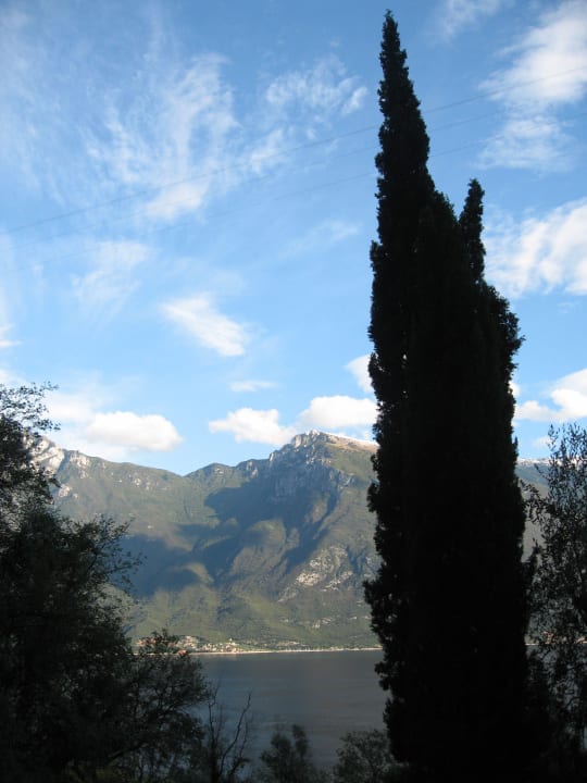 Blick vom Balkon eingerahmt von Zypressen Relax Hotel Villa La Gardenia & Oleandra