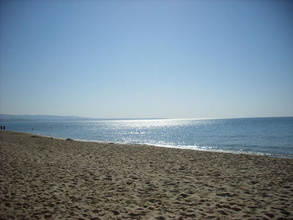 Wie schön Hotel Nesrine