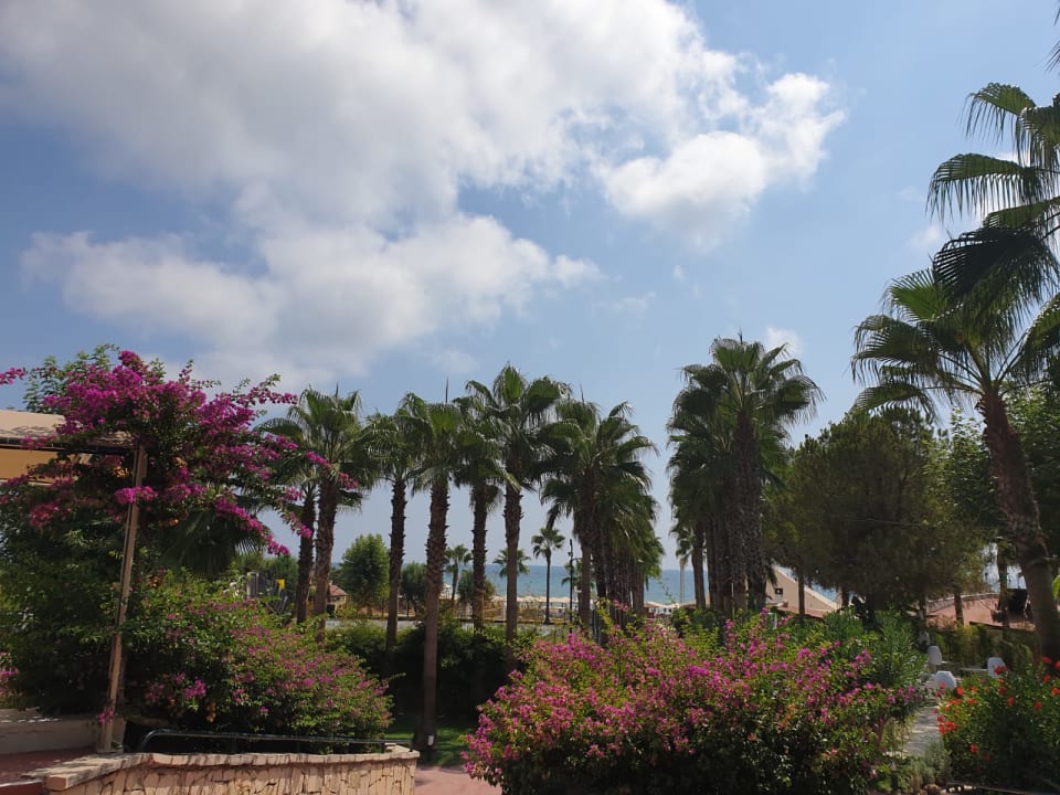 Gartenanlage Hotel Miramare Beach