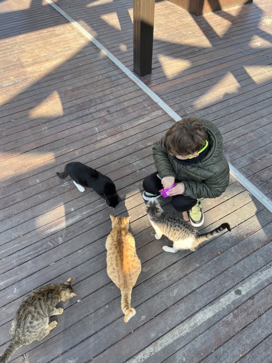 Sonstiges Limak Limra Hotel & Resort