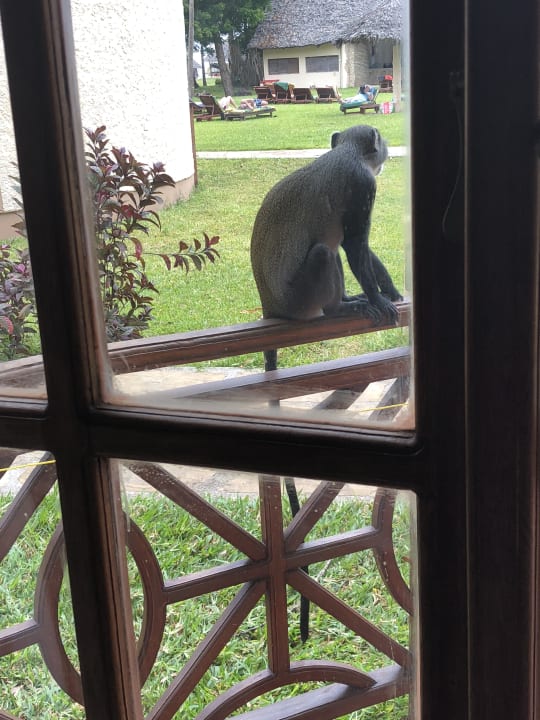 Gast Neptune Paradise Beach Resort & Spa