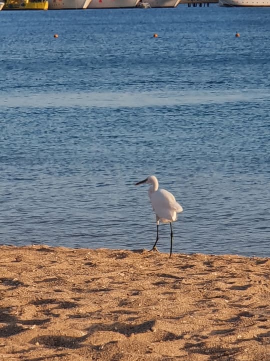 Strand Kaisol Romance Resort