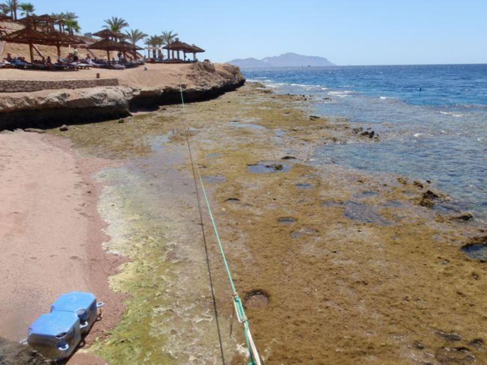 Odpływ plaża Grand Oasis Resort