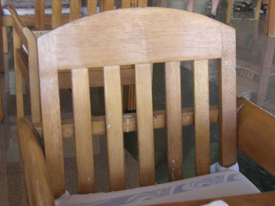 Vögel beim Mittagessen Restaurant LaLaguna Grand Palladium Select White Sand Resort & Spa