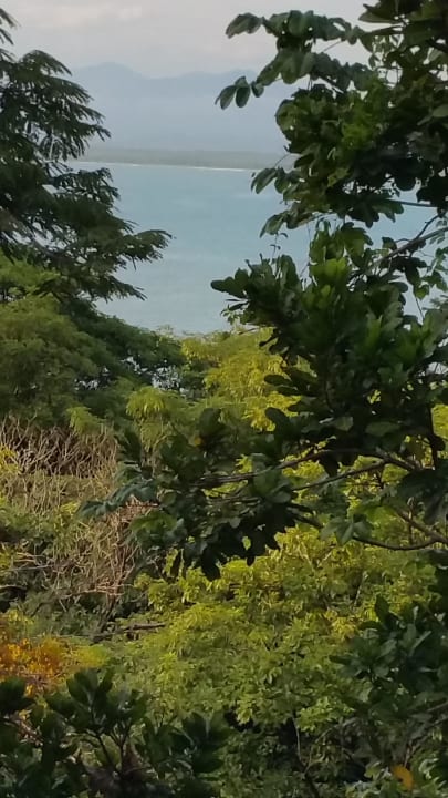 Our view Shana Hotel & Residence