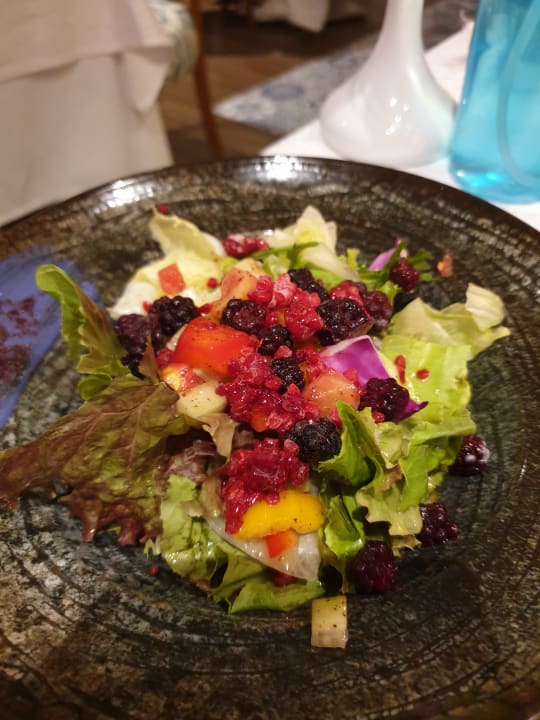 Gastro Tropitel Sahl Hasheesh