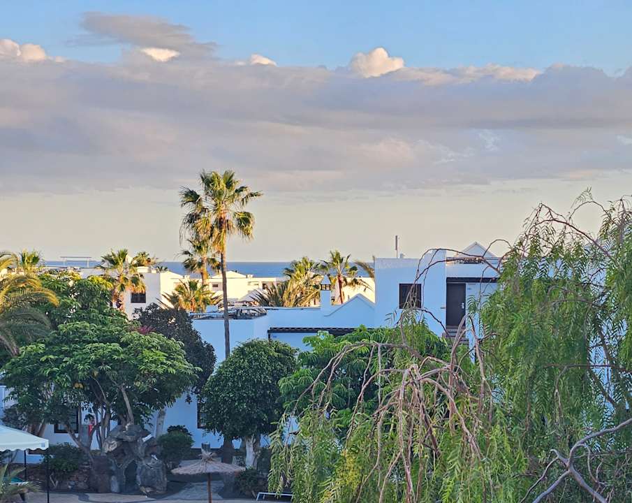 Ausblick allsun App.-Hotel Albatros