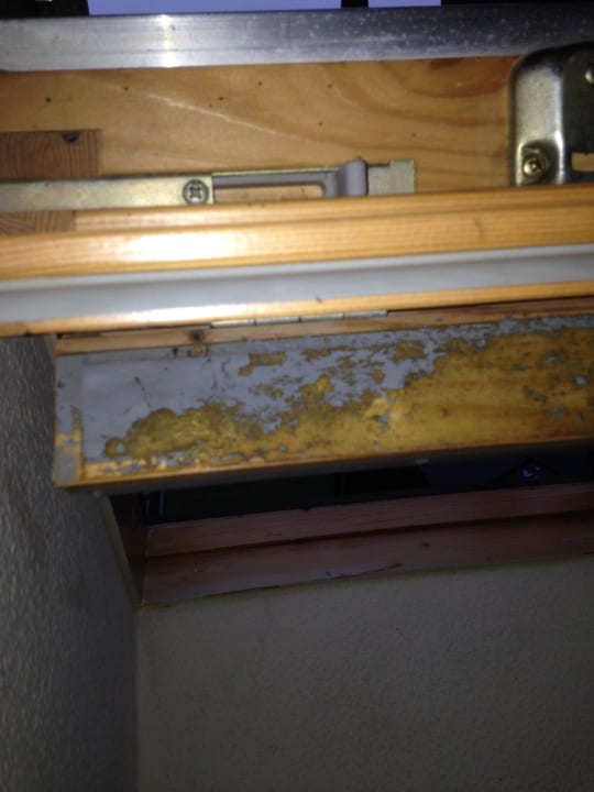 Schimmel Seehotel Schloss Klink