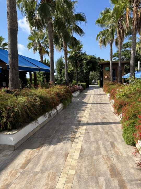 Gartenanlage Sentido Trendy Verbena Beach