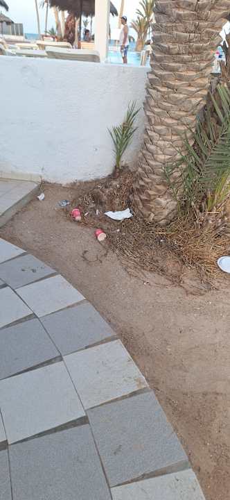 Gartenanlage Hotel El Mouradi Djerba Menzel