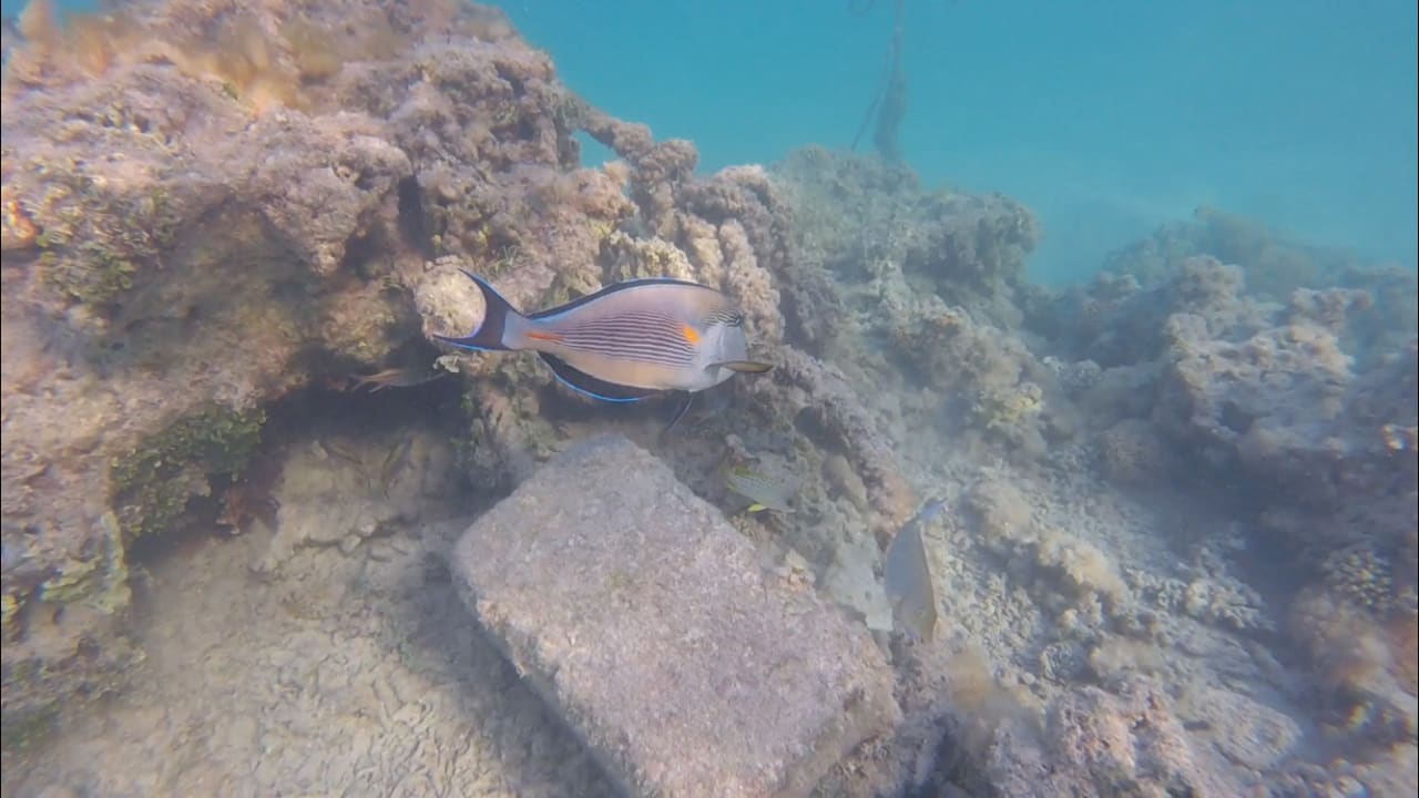 Strand JAZ Belvedere Resort