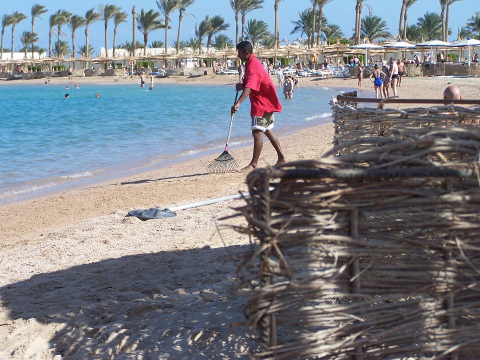 Strand wird immer gepflegt Pickalbatros Dana Beach Resort - Hurghada
