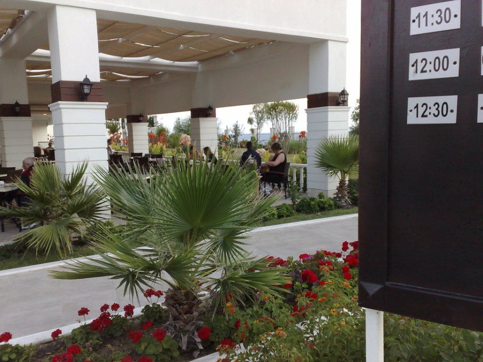 Weg zur Poolbar Alba Queen Hotel