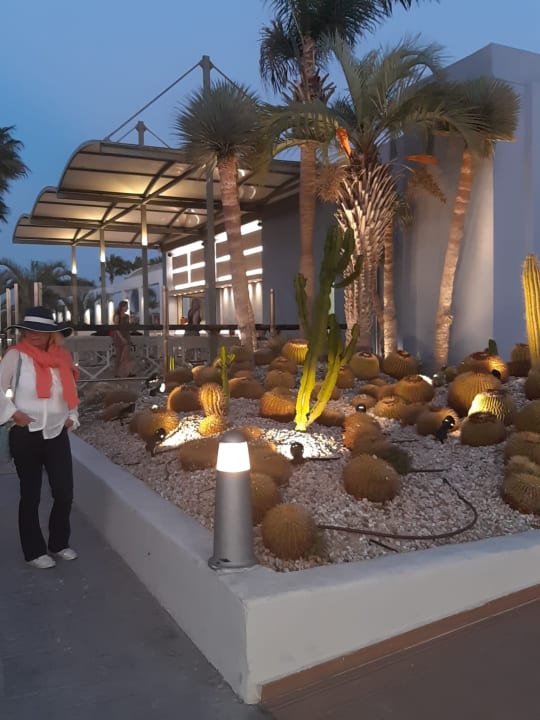 Gartenanlage Blue Lagoon Resort