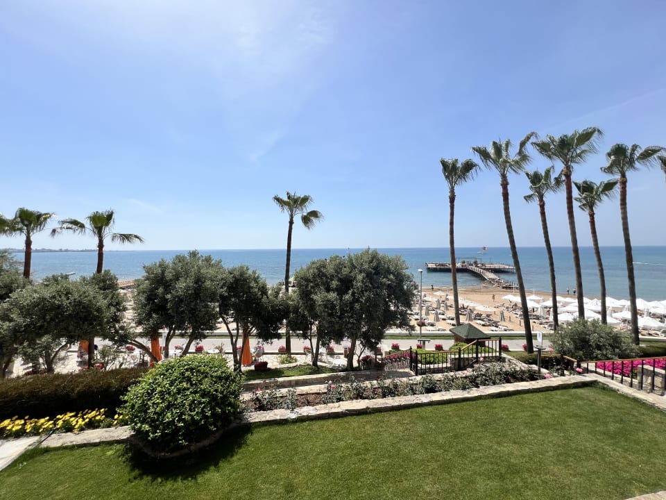 Ausblick Arum Barut Collection