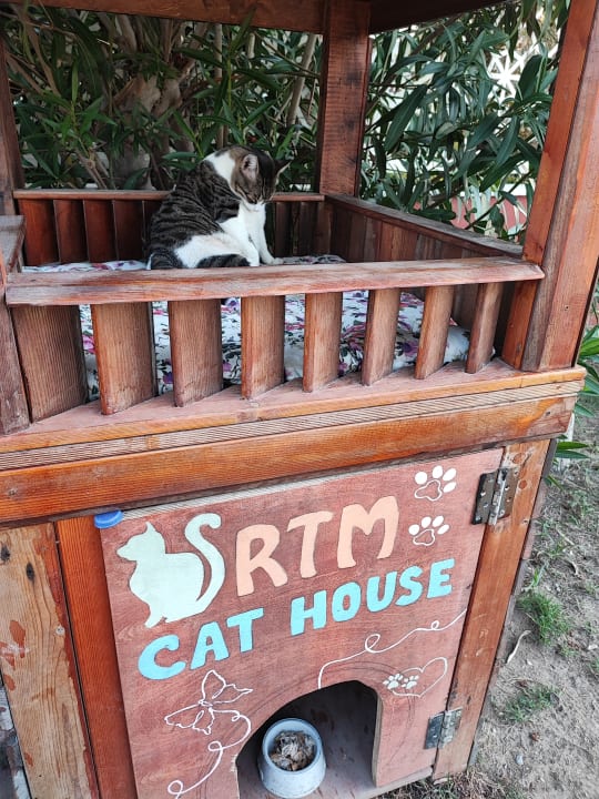 Sonstiges Royal Taj Mahal Hotel