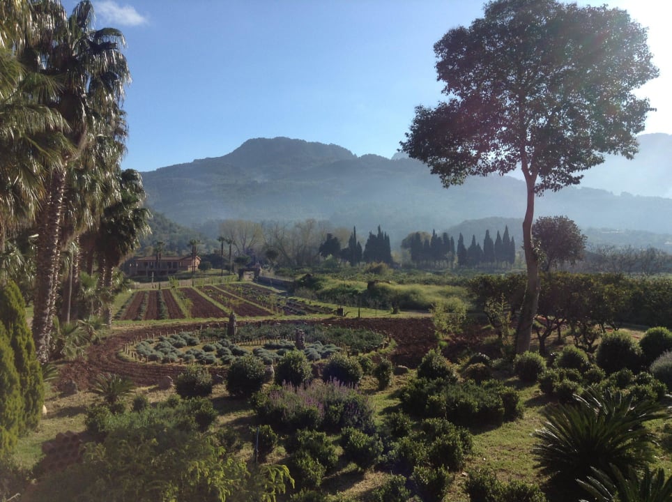 Tramuntanagebirge grüßt Finca Ca N'Aí