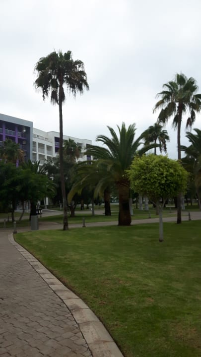 Garten Hotel Riu Gran Canaria