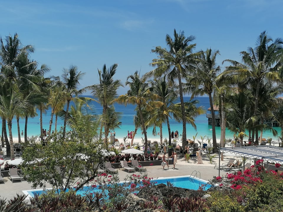 Pool Hotel Riu Jambo