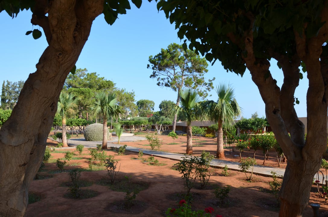 Der Garten erstreckt sich über die ganze Anlage.  Kernos Beach Hotel & Bungalows