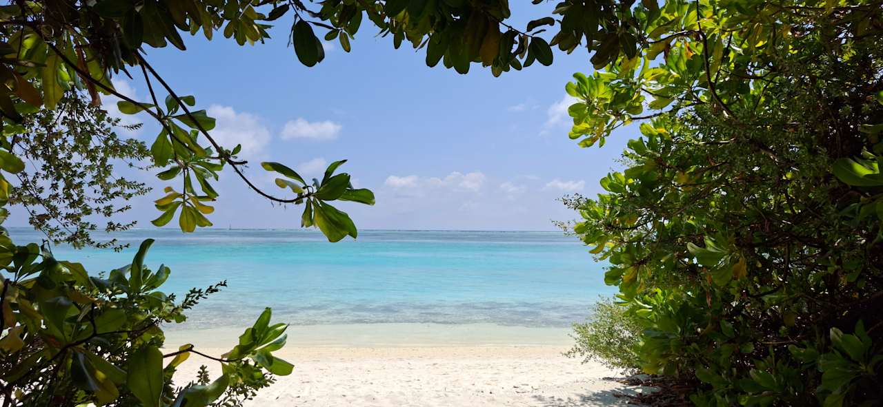 Ausblick Cocoon Maldives