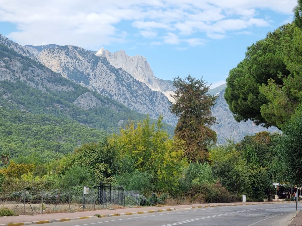 Ausblick Crystal Flora Pearl Collection