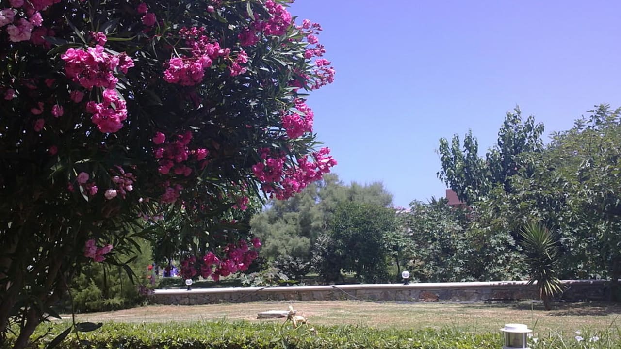 Ausblick von unserer Terrasse geradeaus Vantaris Luxury Beach Resort