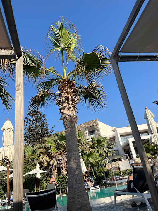 Gartenanlage The Island Hotel